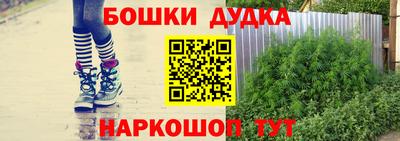 индика Балаково
